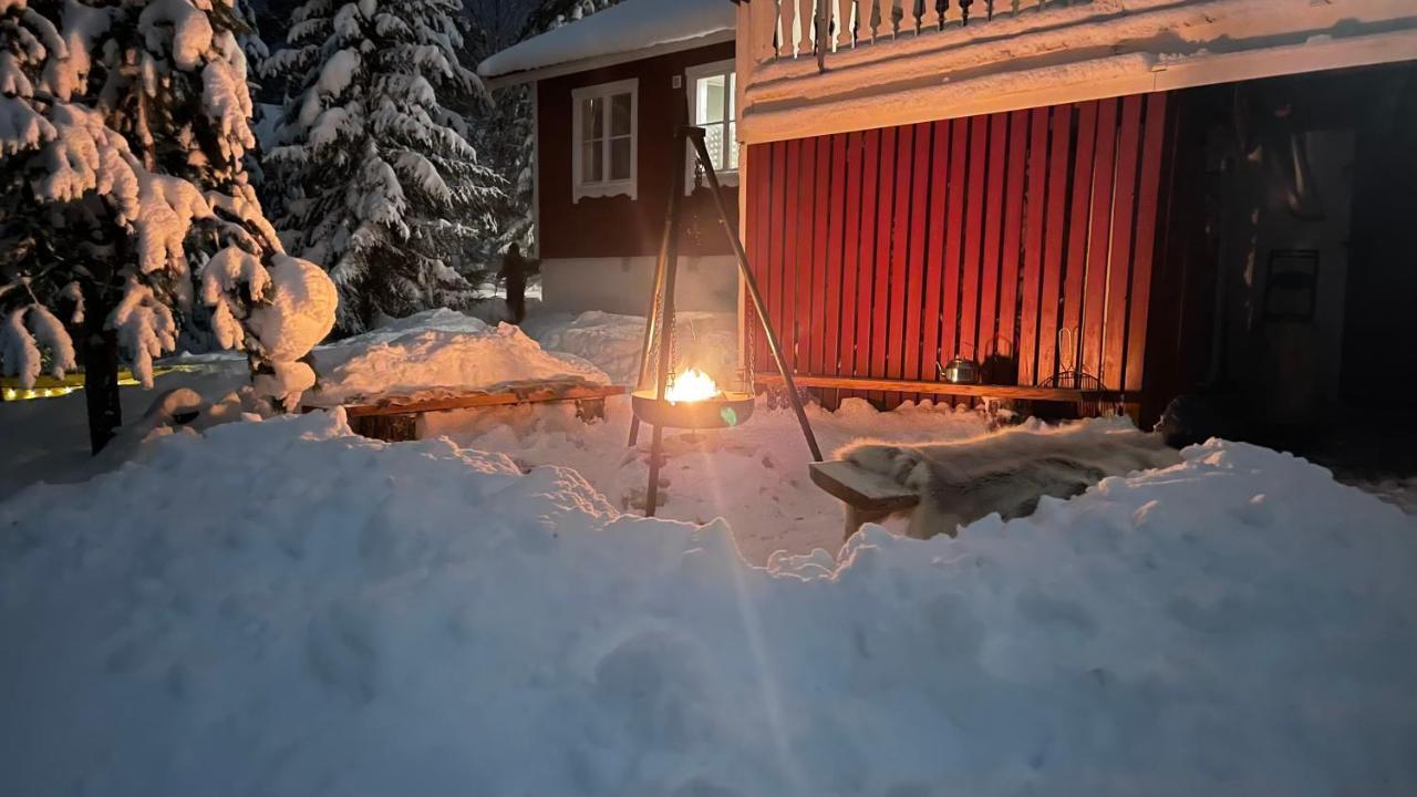Mountain Cabin Lofsdalen Kültér fotó
