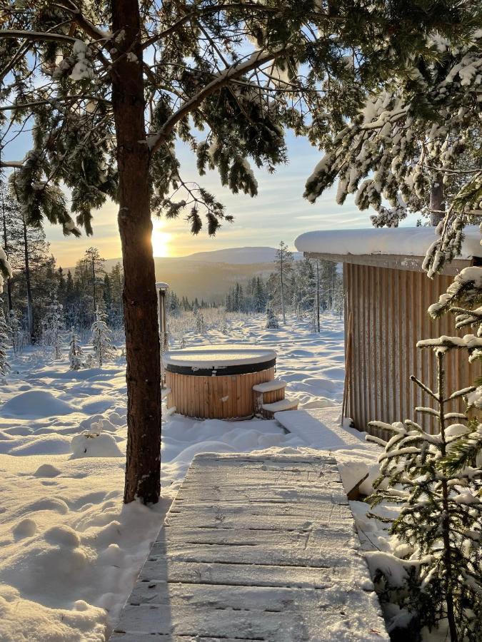 Mountain Cabin Lofsdalen Kültér fotó