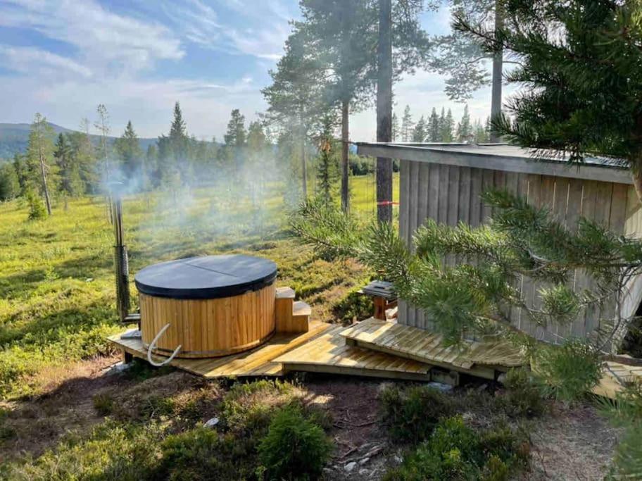 Mountain Cabin Lofsdalen Kültér fotó