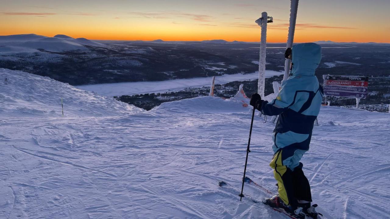 Mountain Cabin Lofsdalen Kültér fotó