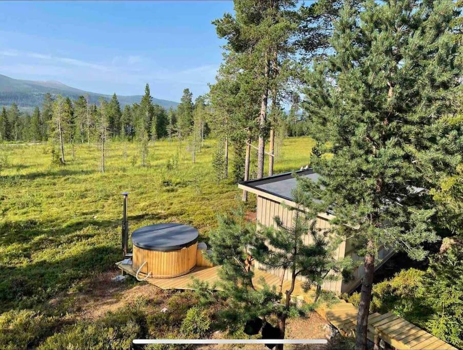 Mountain Cabin Lofsdalen Kültér fotó