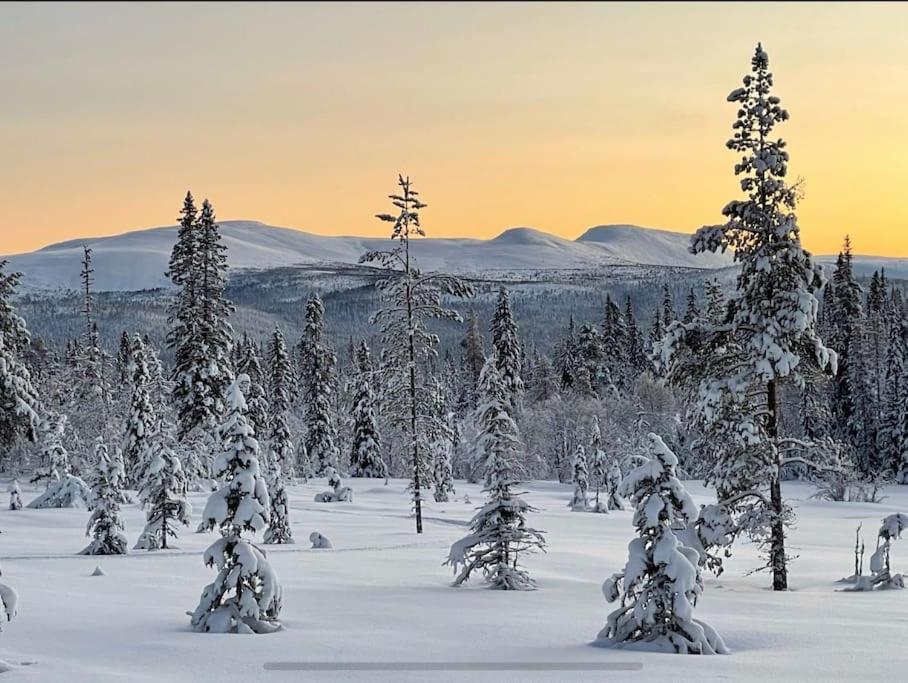 Mountain Cabin Lofsdalen Kültér fotó