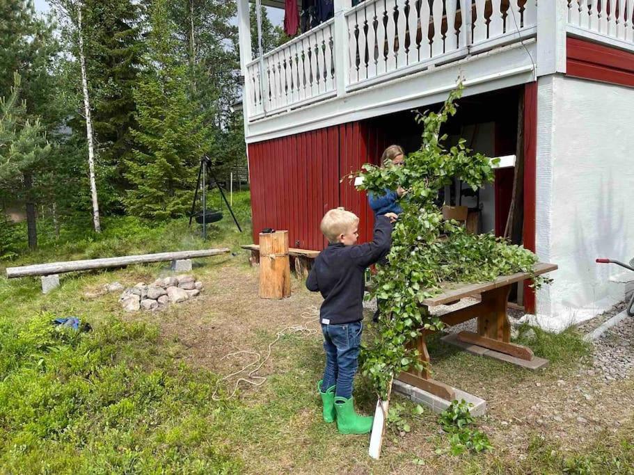 Mountain Cabin Lofsdalen Kültér fotó