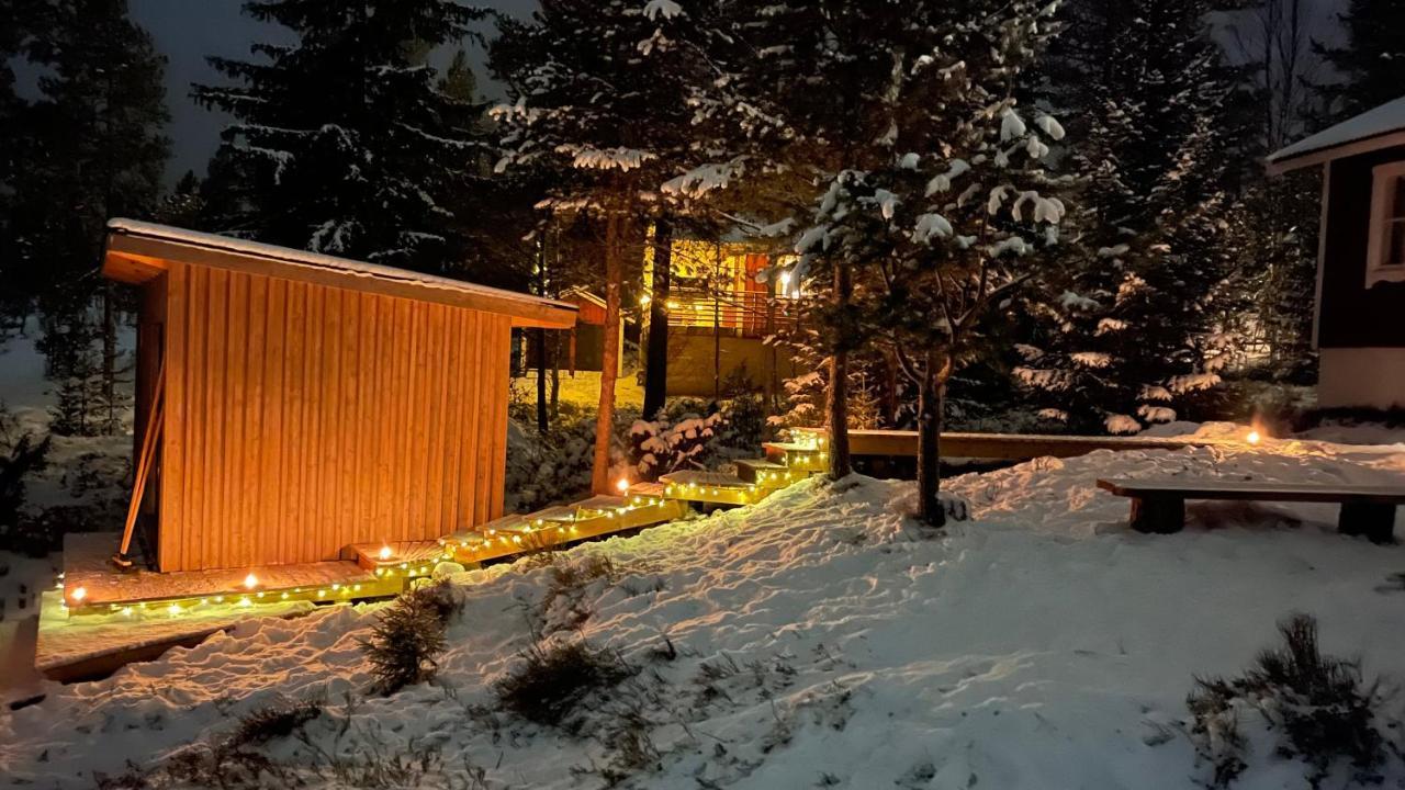 Mountain Cabin Lofsdalen Kültér fotó