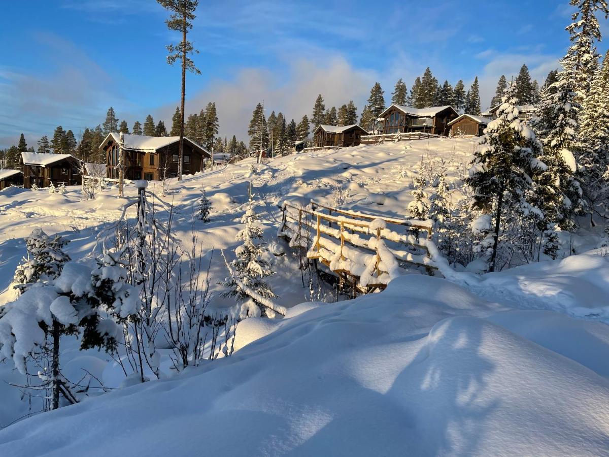 Mountain Cabin Lofsdalen Kültér fotó