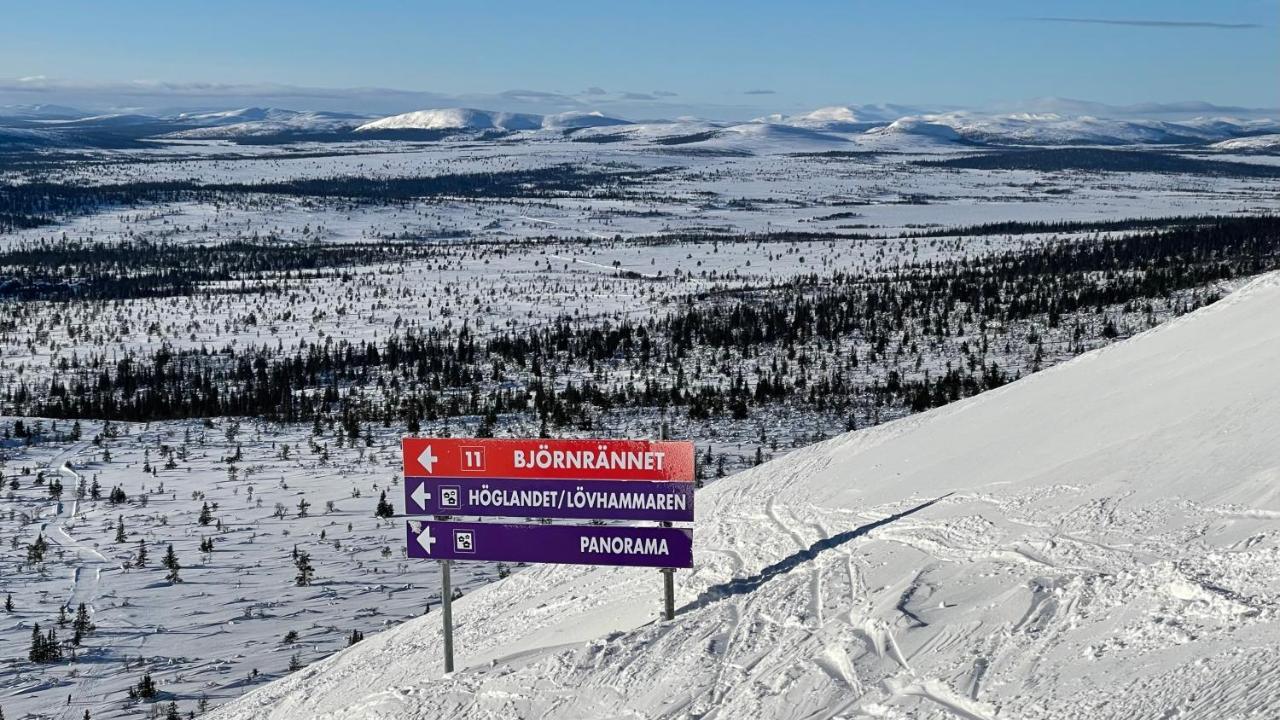 Mountain Cabin Lofsdalen Kültér fotó