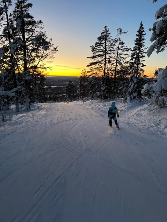 Mountain Cabin Lofsdalen Kültér fotó