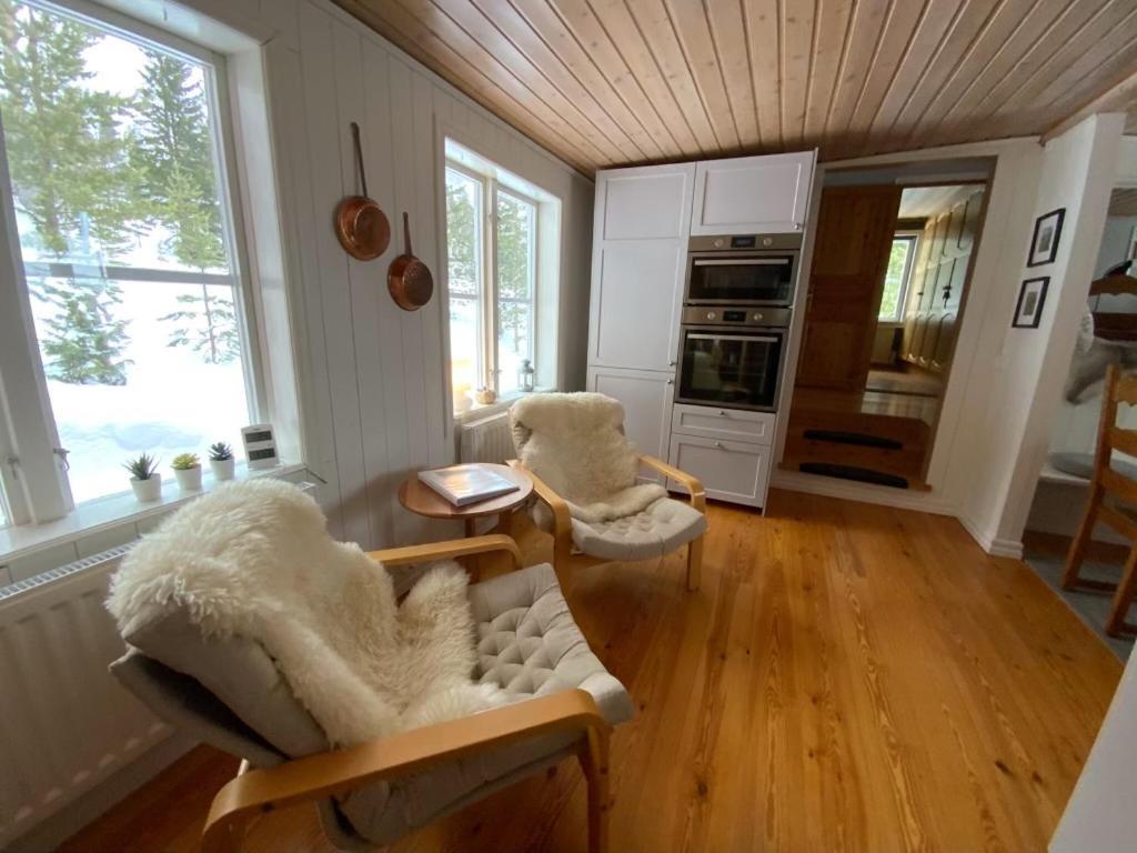 Mountain Cabin Lofsdalen Kültér fotó