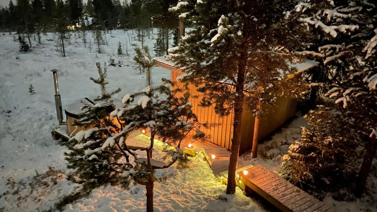 Mountain Cabin Lofsdalen Kültér fotó