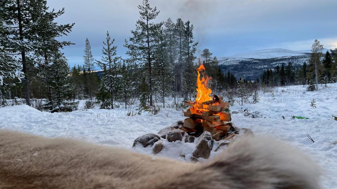 Mountain Cabin Lofsdalen Kültér fotó